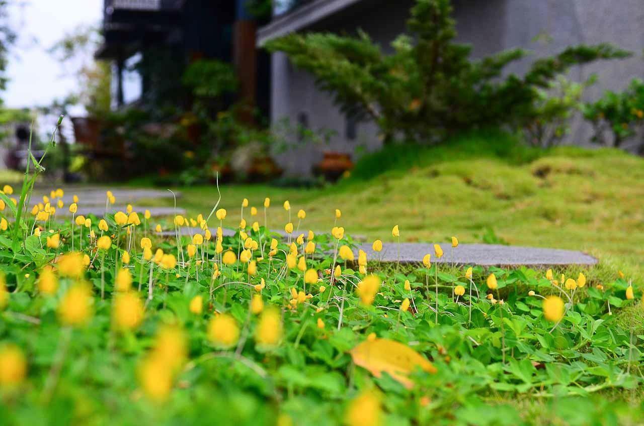 建築師 湧泉 泡湯 會館 Apartment Dongshan  Exterior photo